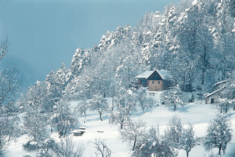 Babna Gora - Glazerjeva bajta 