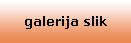 galerija slik