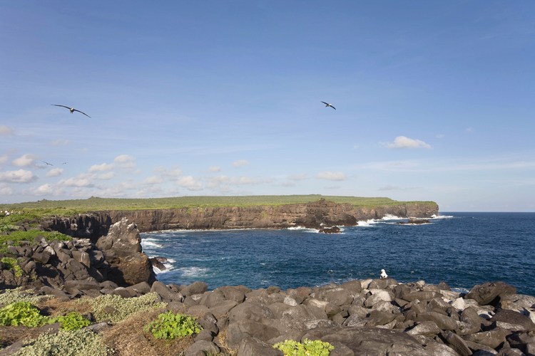 Galapagos 2