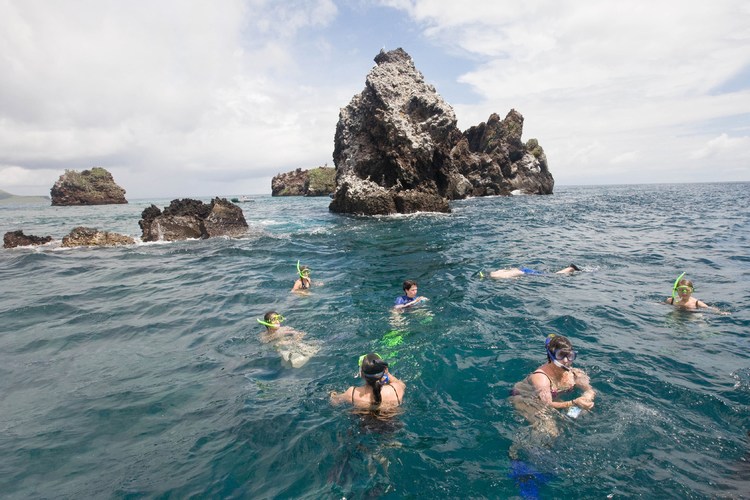 Galapagos 3