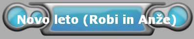 Novo leto (Robi in An?e)
