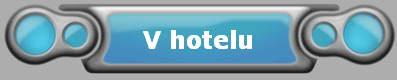 V hotelu