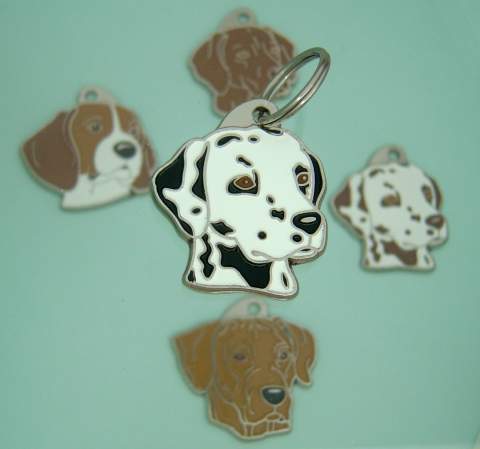 Acero Inoxidable Pet Tag mjavhov Personalizados American Staffordshire Terrier Bw 