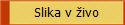 Slika v ivo